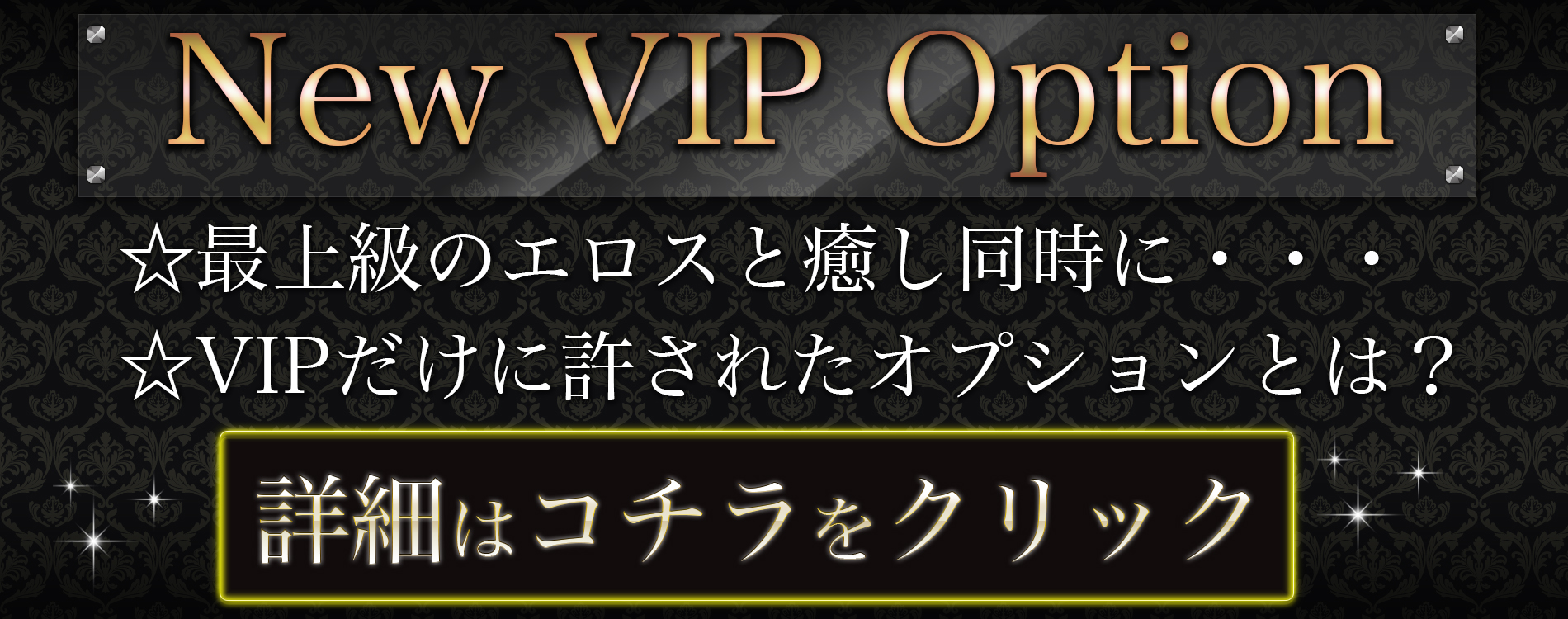 ＮＥＷ　ＶＩＰ　Ｏｐｔｉｏｎ　最上級のエロスと癒しを同時に…ＶＩＰだけに許されたオプションとは？詳細はコチラ
