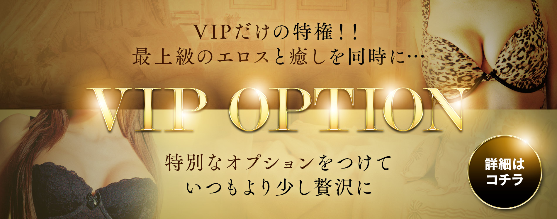 ＶＩＰだけに許されたオプションとは？